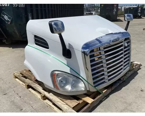 FREIGHTLINER Cascadia 113 Hood