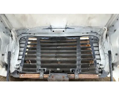 FREIGHTLINER Cascadia 113 Hood