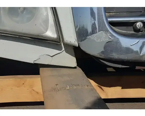 FREIGHTLINER Cascadia 113 Hood