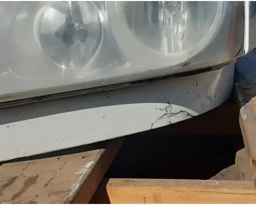FREIGHTLINER Cascadia 113 Hood