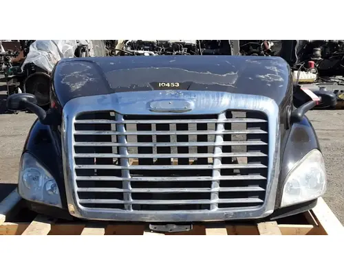 FREIGHTLINER Cascadia 113 Hood
