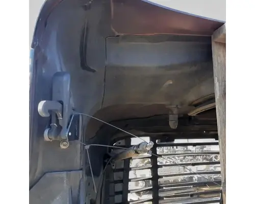 FREIGHTLINER Cascadia 113 Hood