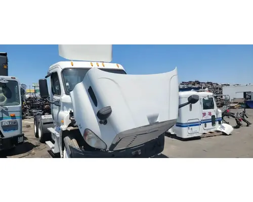 FREIGHTLINER Cascadia 113 Hood