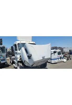 FREIGHTLINER Cascadia 113 Hood