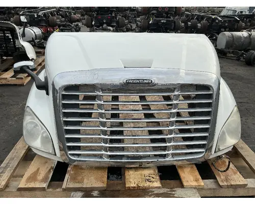 FREIGHTLINER Cascadia 113 Hood