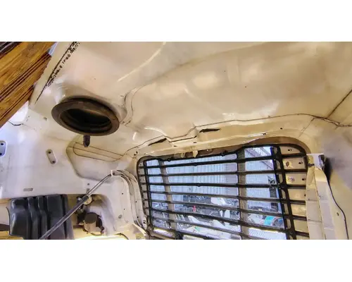 FREIGHTLINER Cascadia 113 Hood