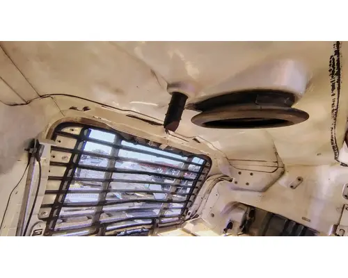 FREIGHTLINER Cascadia 113 Hood