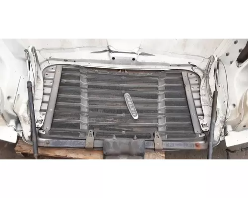 FREIGHTLINER Cascadia 113 Hood