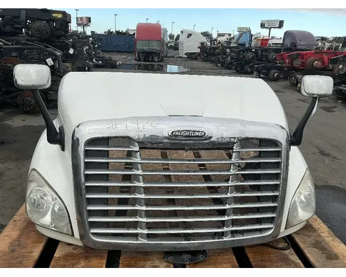 FREIGHTLINER Cascadia 113 Hood