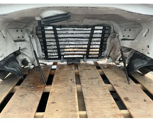 FREIGHTLINER Cascadia 113 Hood
