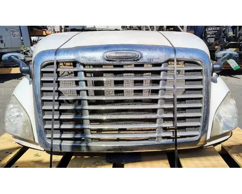 FREIGHTLINER Cascadia 113 Hood