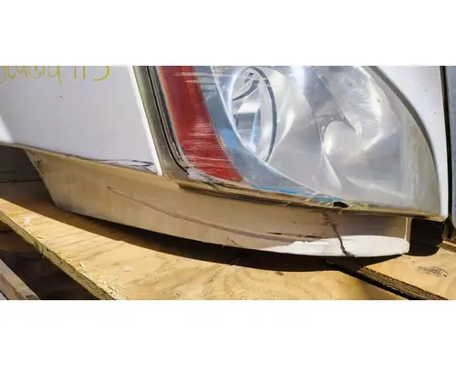 FREIGHTLINER Cascadia 113 Hood
