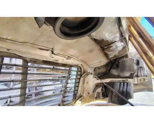 FREIGHTLINER Cascadia 113 Hood