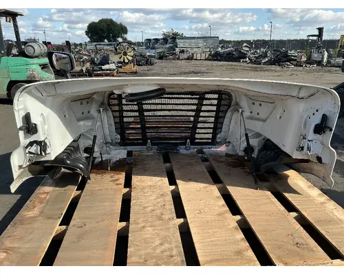 FREIGHTLINER Cascadia 113 Hood