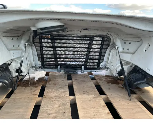 FREIGHTLINER Cascadia 113 Hood