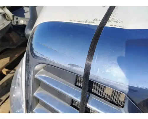 FREIGHTLINER Cascadia 113 Hood