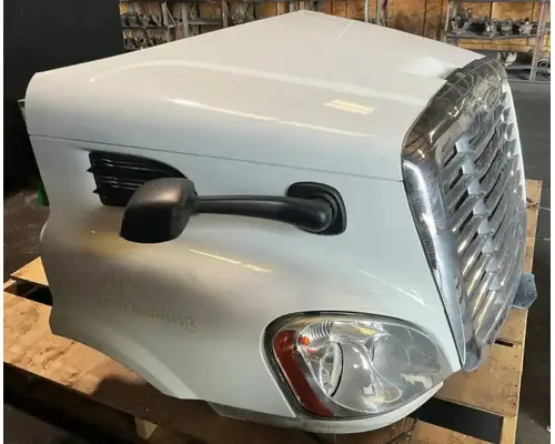 FREIGHTLINER Cascadia 113 Hood