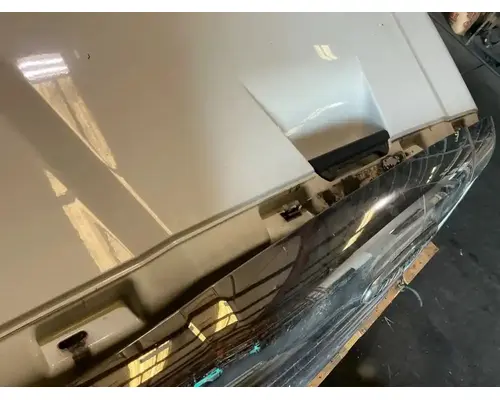 FREIGHTLINER Cascadia 113 Hood