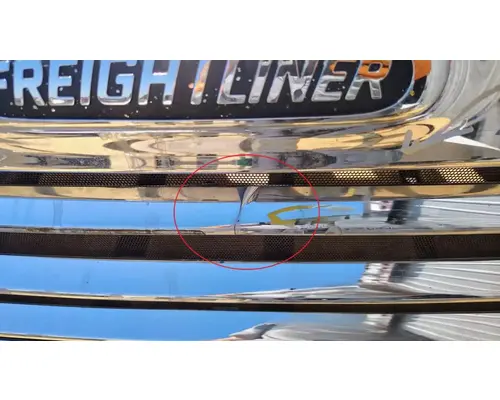 FREIGHTLINER Cascadia 113 Hood