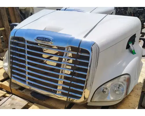 FREIGHTLINER Cascadia 113 Hood