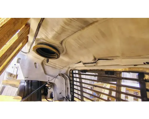 FREIGHTLINER Cascadia 113 Hood