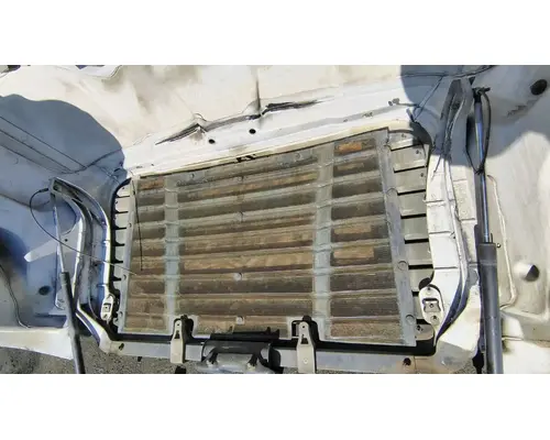 FREIGHTLINER Cascadia 113 Hood