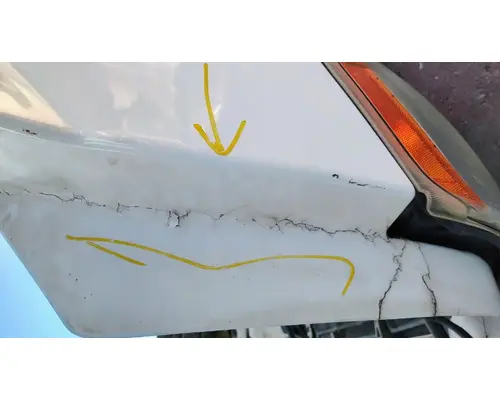 FREIGHTLINER Cascadia 113 Hood