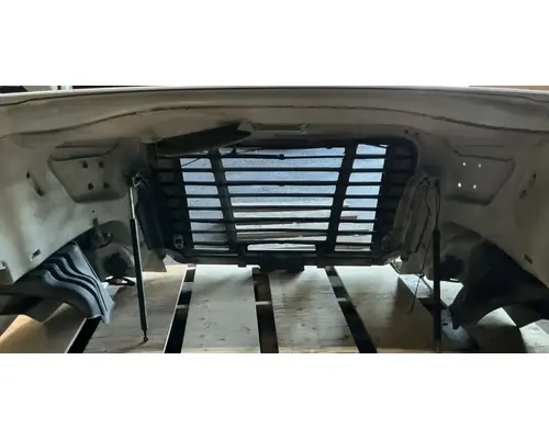 FREIGHTLINER Cascadia 113 Hood