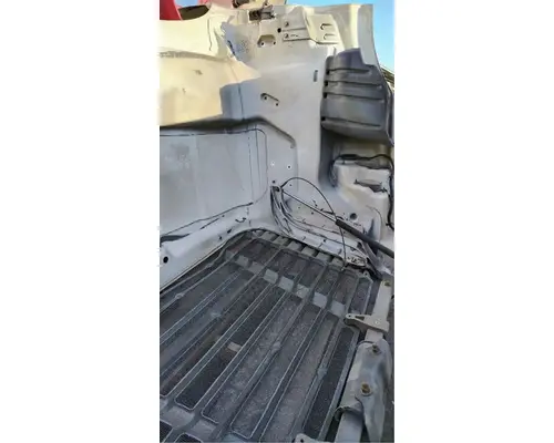 FREIGHTLINER Cascadia 113 Hood