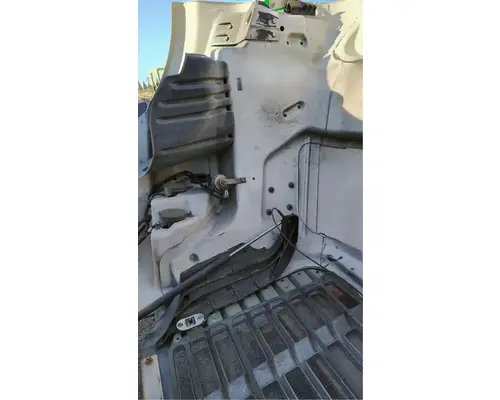 FREIGHTLINER Cascadia 113 Hood
