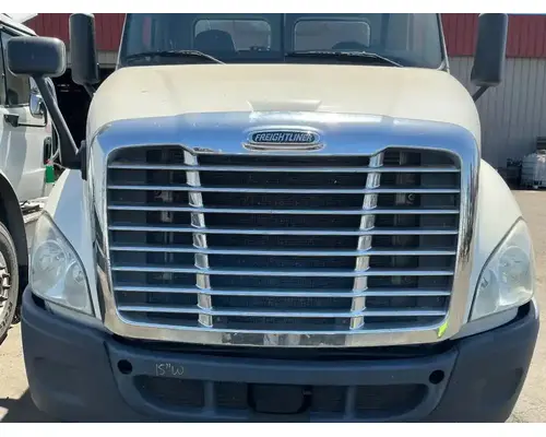FREIGHTLINER Cascadia 113 Hood