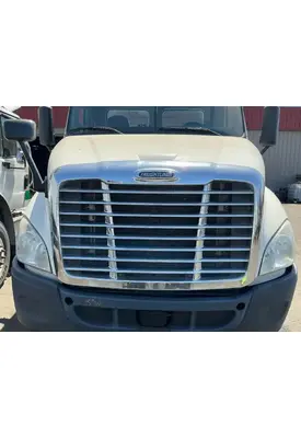 FREIGHTLINER Cascadia 113 Hood