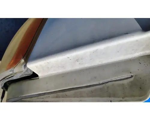 FREIGHTLINER Cascadia 113 Hood