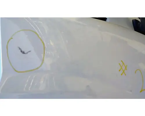 FREIGHTLINER Cascadia 113 Hood