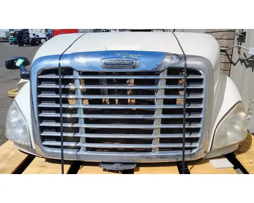 FREIGHTLINER Cascadia 113 Hood