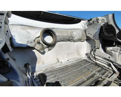 FREIGHTLINER Cascadia 113 Hood