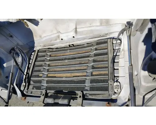 FREIGHTLINER Cascadia 113 Hood