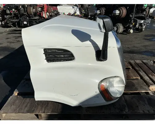 FREIGHTLINER Cascadia 113 Hood