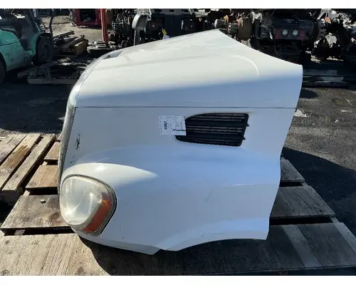 FREIGHTLINER Cascadia 113 Hood