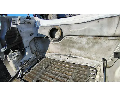 FREIGHTLINER Cascadia 113 Hood