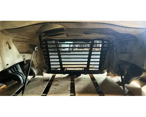 FREIGHTLINER Cascadia 113 Hood