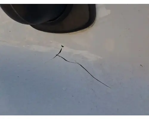 FREIGHTLINER Cascadia 113 Hood