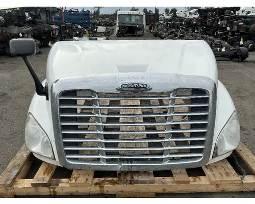 FREIGHTLINER Cascadia 113 Hood