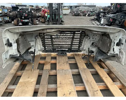 FREIGHTLINER Cascadia 113 Hood