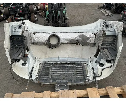 FREIGHTLINER Cascadia 113 Hood