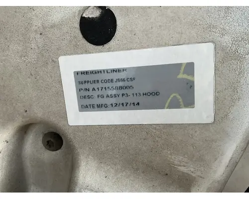 FREIGHTLINER Cascadia 113 Hood
