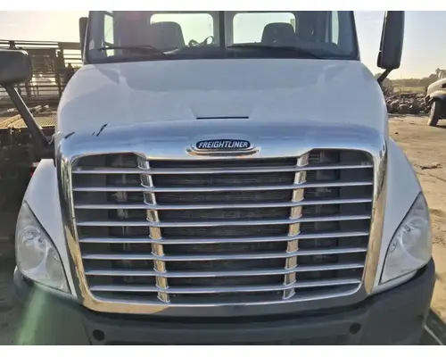 FREIGHTLINER Cascadia 113 Hood