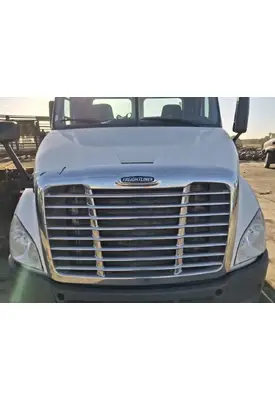 FREIGHTLINER Cascadia 113 Hood