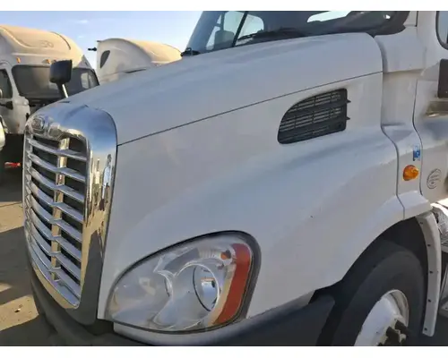 FREIGHTLINER Cascadia 113 Hood