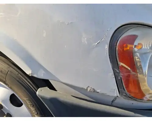 FREIGHTLINER Cascadia 113 Hood
